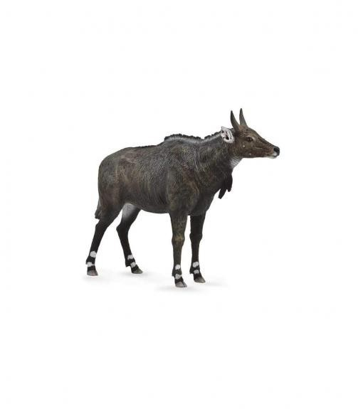 NILGAI - COLLECTA